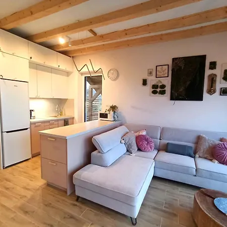 Mechatka Дом отдыха Dziwiszow