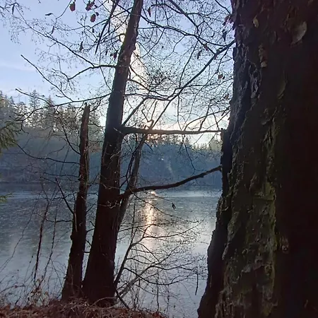 Дом отдыха Mechatka