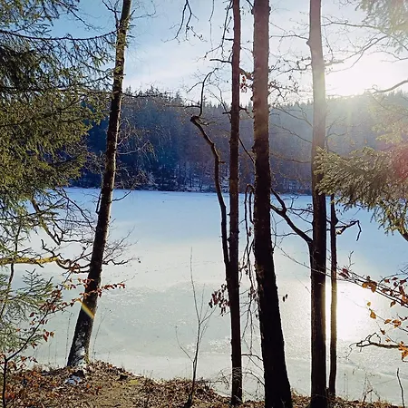 Mechatka Дом отдыха Dziwiszow