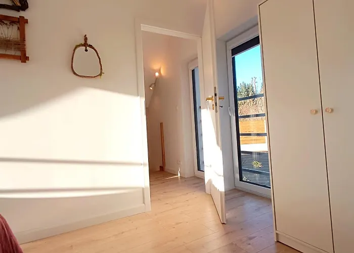 Mechatka * Dziwiszow