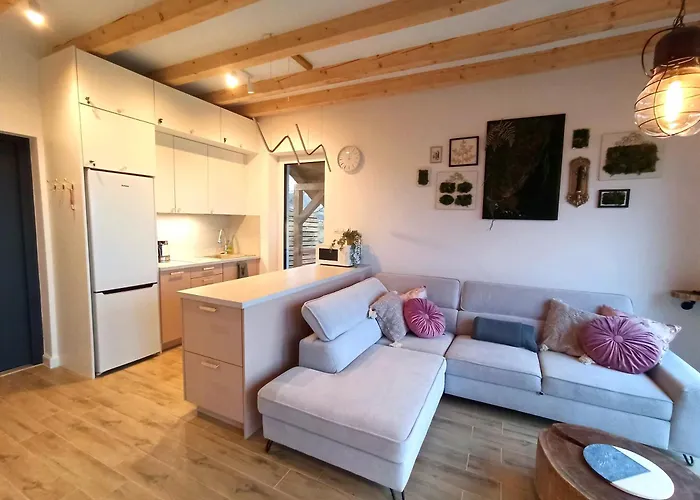 Mechatka Дом отдыха Dziwiszow