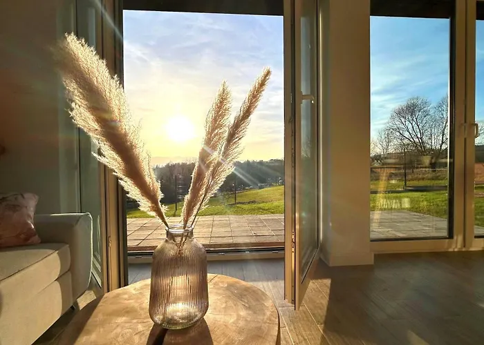 Mechatka * Dziwiszow