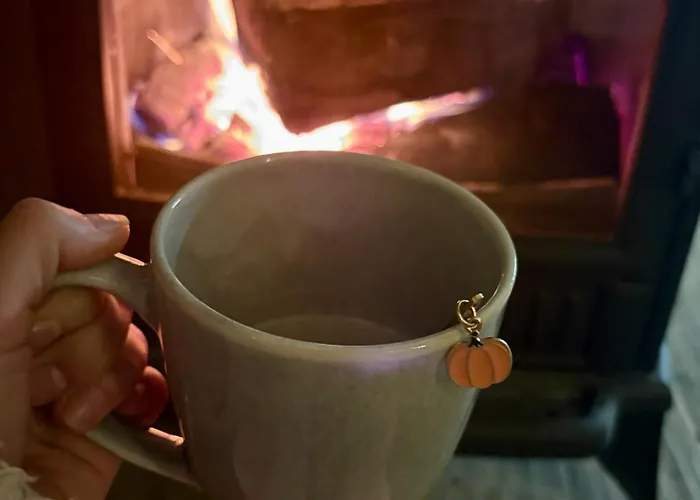 Mechatka Дом отдыха *