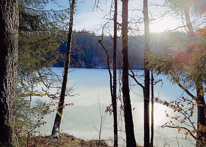 Mechatka Дом отдыха Dziwiszow