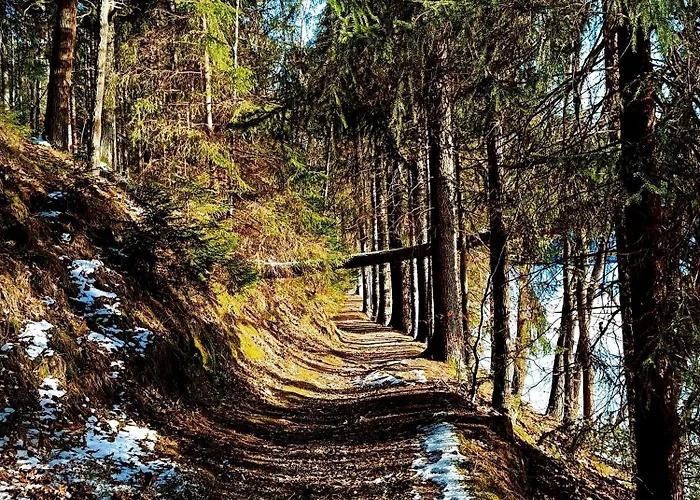 Дом отдыха Mechatka *